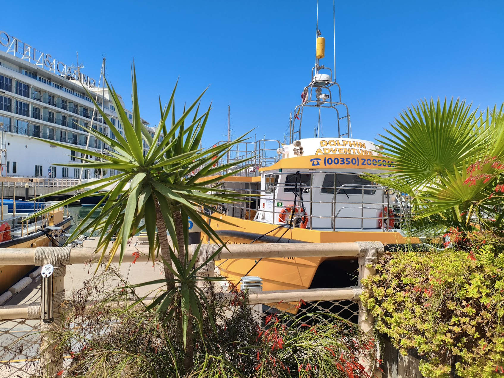 Gibraltar Dolphin Adventure