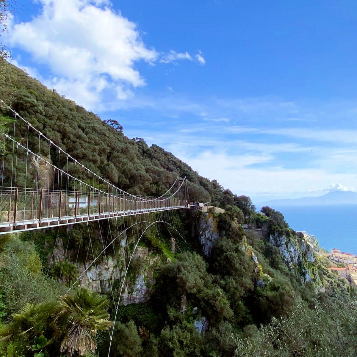 Gibraltar Suspension Bridge